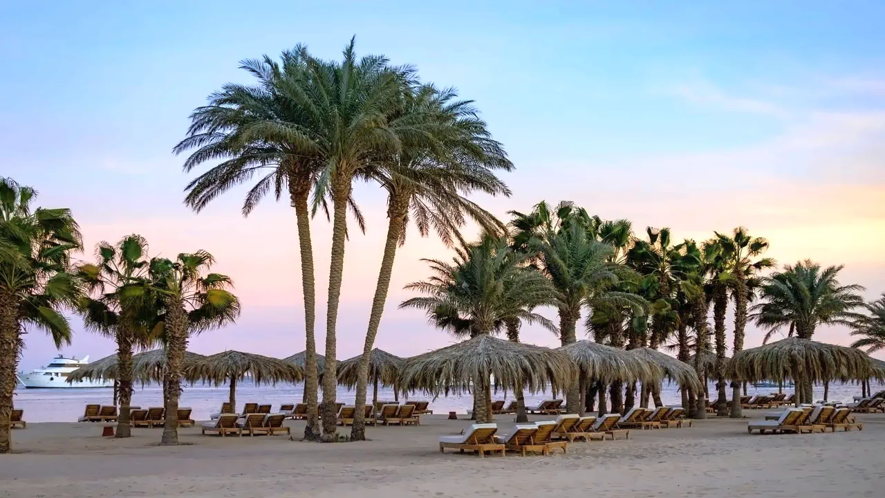 الفندق سيري بيتش ريزورت - الغردقة